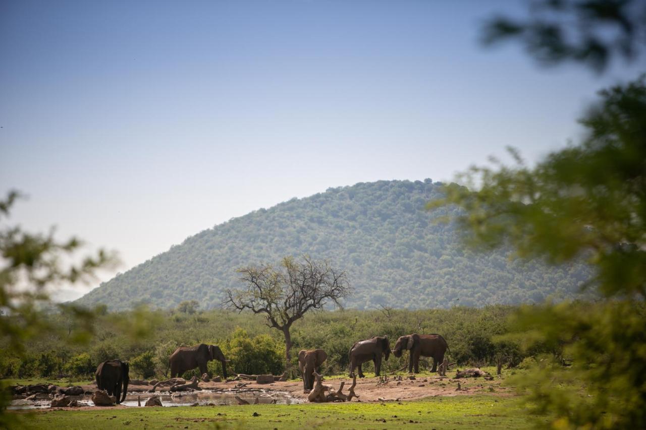 Jamala Madikwe Βίλα Madikwe Game Reserve Εξωτερικό φωτογραφία