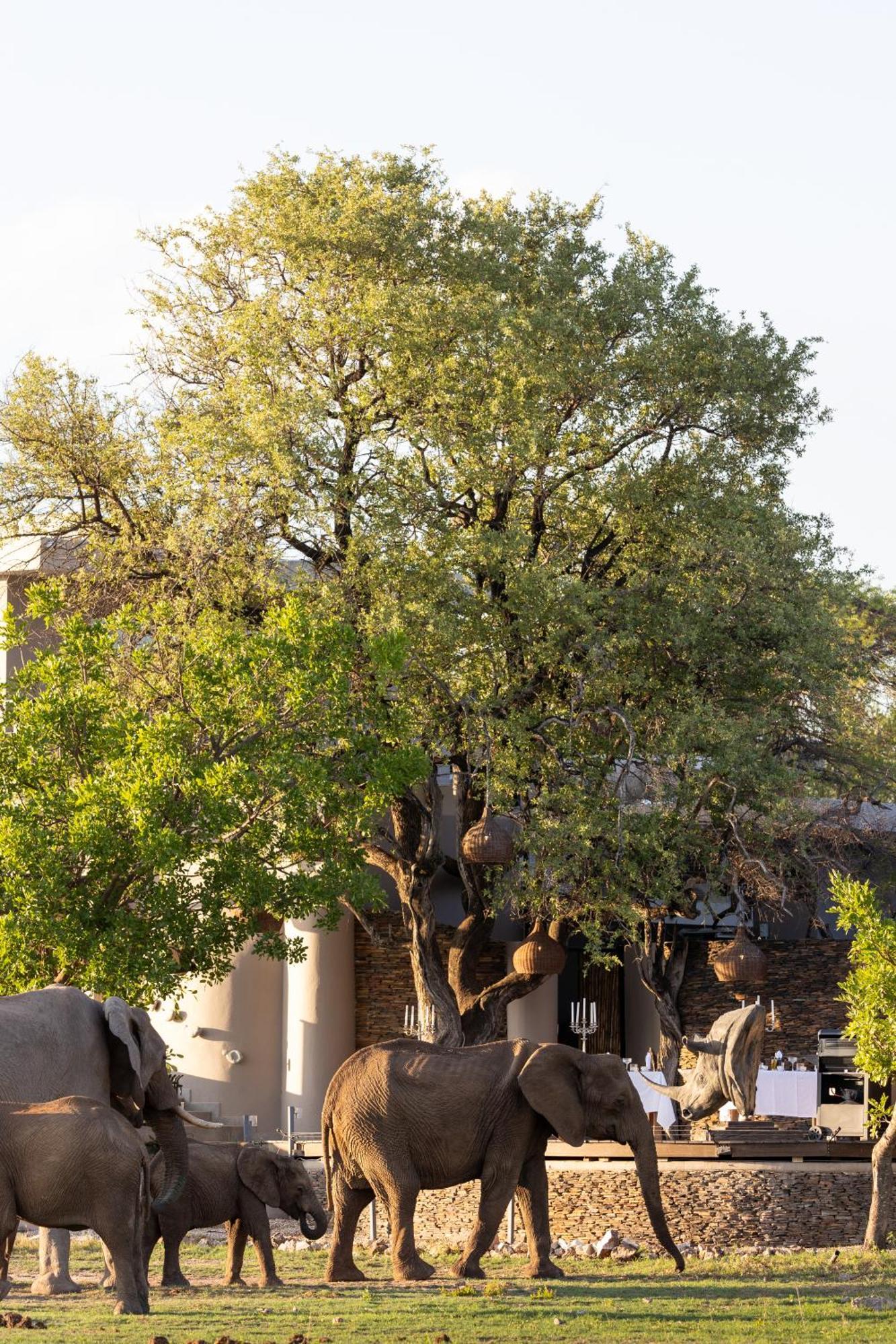 Jamala Madikwe Βίλα Madikwe Game Reserve Εξωτερικό φωτογραφία