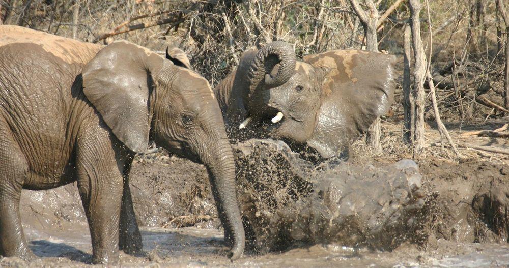 Jamala Madikwe Βίλα Madikwe Game Reserve Εξωτερικό φωτογραφία